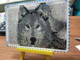 Алмазная мозаика 11x16 Сиамский котёнок и пасхальный кролик