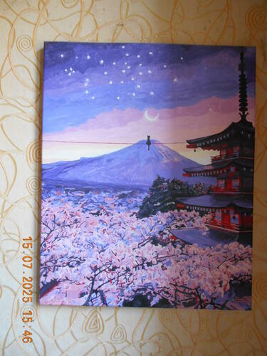 Фотографии готовых работ картин по номерам и алмазной мозаики