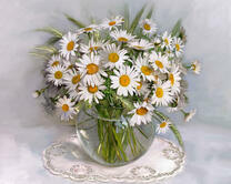 Без бренда «2KMA-0021» в Новокузнецке