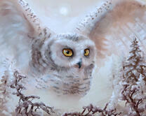 Без бренда «2KMB-3848» в Новокузнецке