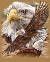 Без бренда «2KMB-4315» в Новокузнецке