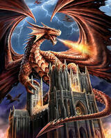 Без бренда «Дракон огня и молний» в Новокузнецке