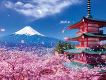 Без бренда «2KSB-7277» в Новокузнецке