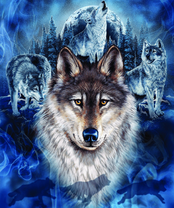 Без бренда «2KXSB-0687» в Новокузнецке