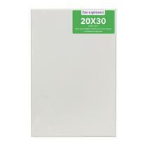 Без бренда «Коробка 80 шт.: Холст Две картинки на подрамнике 20X30» в Новокузнецке