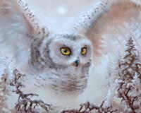 Без бренда «Полярная сова над лесом (20шт)» в Новокузнецке