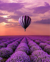 Без бренда «BOX20-2KMB-4091» в Новокузнецке