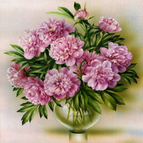 Без бренда «BOX20-2KQB-0094» в Новокузнецке