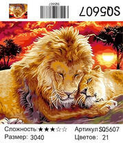 SQ5607