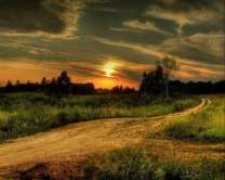 Без бренда «Проселочная дорога на закате» в Новокузнецке