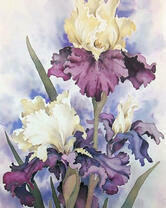 Акварельные ирисы