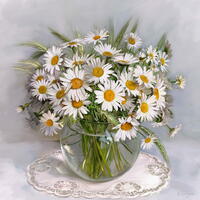 Без бренда «Букет свежих ромашек» в Новокузнецке в интернет-магазине  Без бренда «Букет свежих ромашек» в Новокузнецке