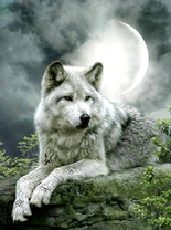 Без бренда «Коробка 25 шт. картин по номерам BOX25-GX21058» в Новокузнецке