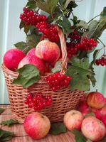 Без бренда «Коробка 25 шт. картин по номерам BOX25-GX5174» в Новокузнецке