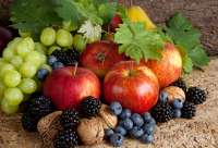 Без бренда «Фрукты, ягоды и орехи» в Новокузнецке в интернет-магазине Без бренда «Фрукты, ягоды и орехи» в Новокузнецке