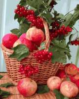 Без бренда «Плетёная корзина с калиной и яблоками» в Новокузнецке