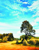 Без бренда «Осенний пейзаж с голубым небом» в Новокузнецке