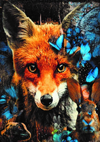 Без бренда «Лиса и синие бабочки» в Новокузнецке