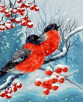 Два снегиря на заснеженной ветке рябины