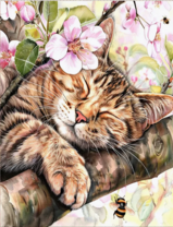 Без бренда «Волосатый котик спит на ветви яблони» в Новокузнецке в интернет-магазине  Без бренда «Волосатый котик спит на ветви яблони» в Новокузнецке