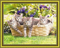 Корзинка с четырьмя серыми котятами