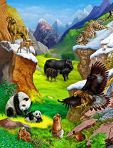 Горная долина дружной жизни зверей